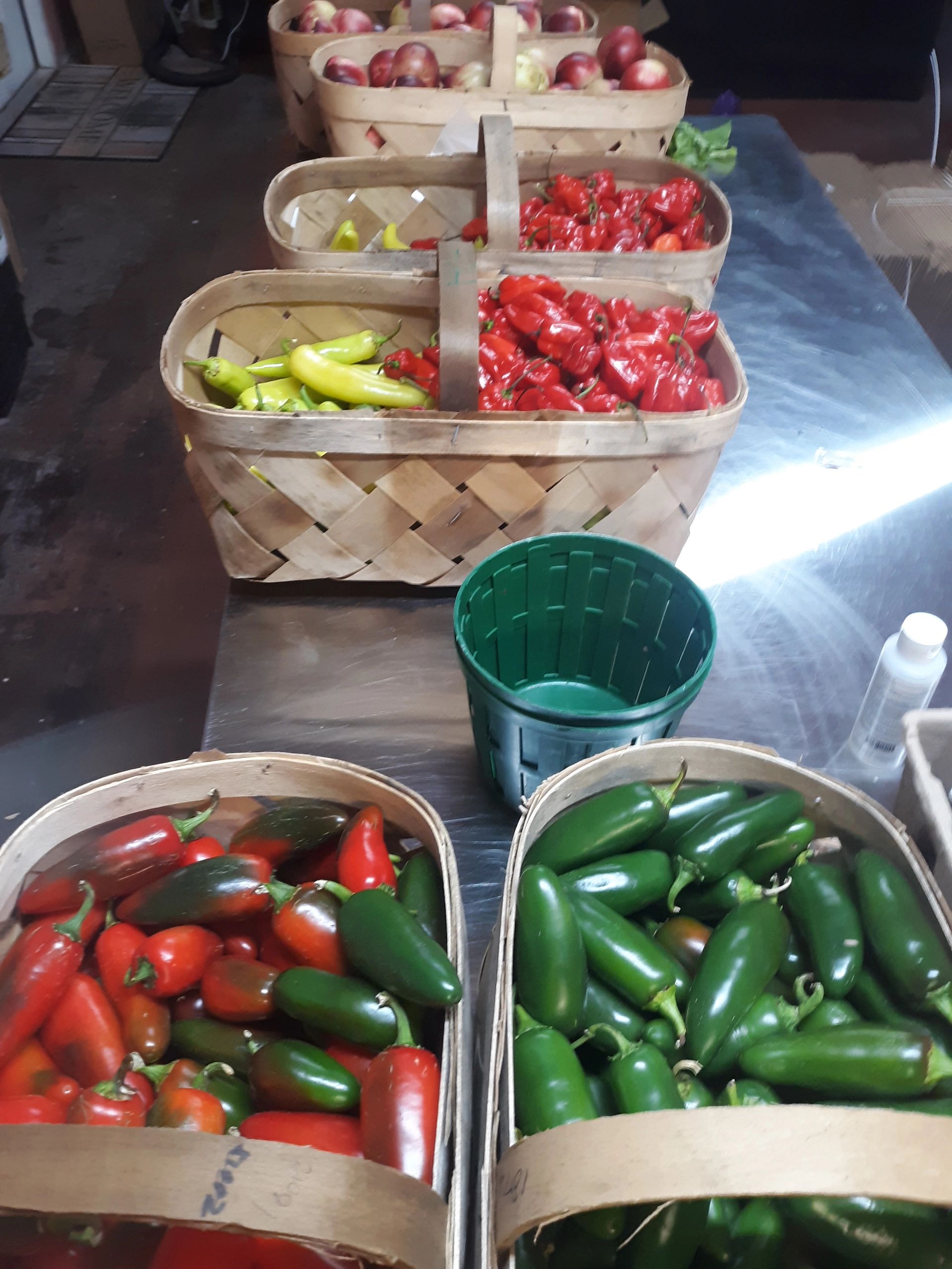A selection of peppers for our various farmers markets and food boxes