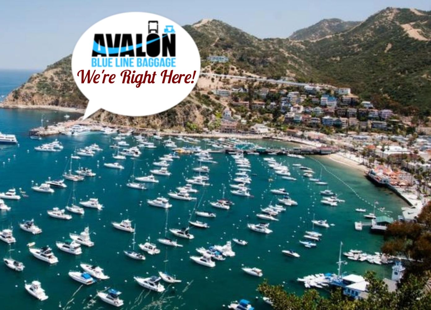 Home Page Welcome to Avalon Baggage | Your Catalina Baggage Solution