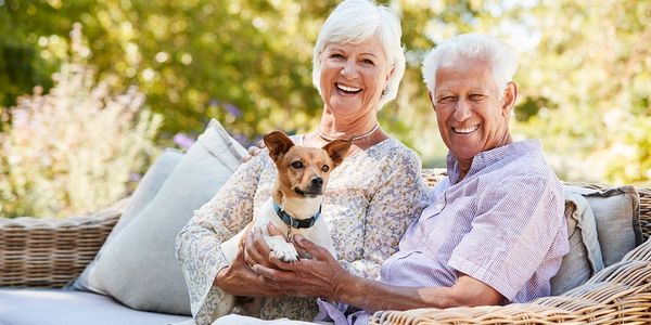 Carers love meeting new dog guests when Dog Boarding, Pet Sitting, caring for pets