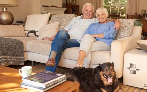 Dog Boarding, Pet Sitting, caring for pets