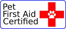 Staff at Trusted Pet Carers are Pet first aid certified