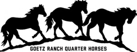 Goetz Ranch Quarter Horses