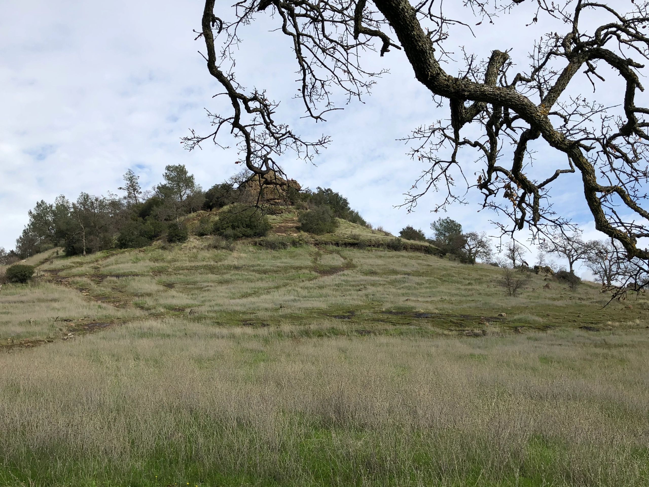 Bidwell Park, Chico CA