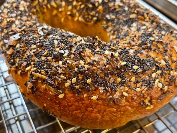 A perfectly crunchy and chewy everything bagel sits on a sheet pan, made by Allium Bagel Company.