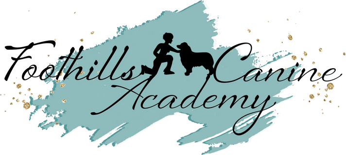 Foothills Canine Academy