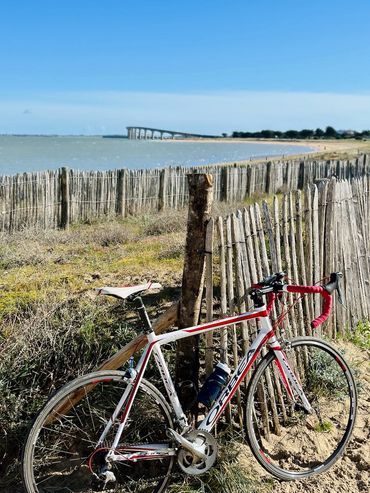 Enjoy the ride at Ile de ré. Cycling!