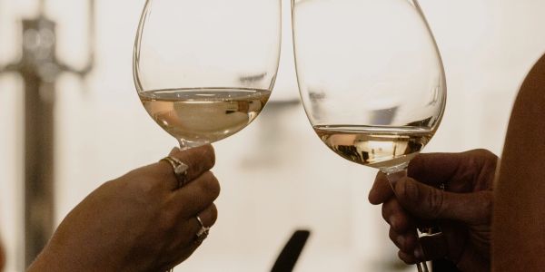 Two people clinking wine glasses in a toast.