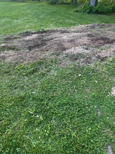 Medium size stump ground away.
