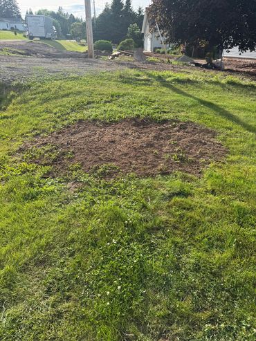 Small stump ground away and leveled out.