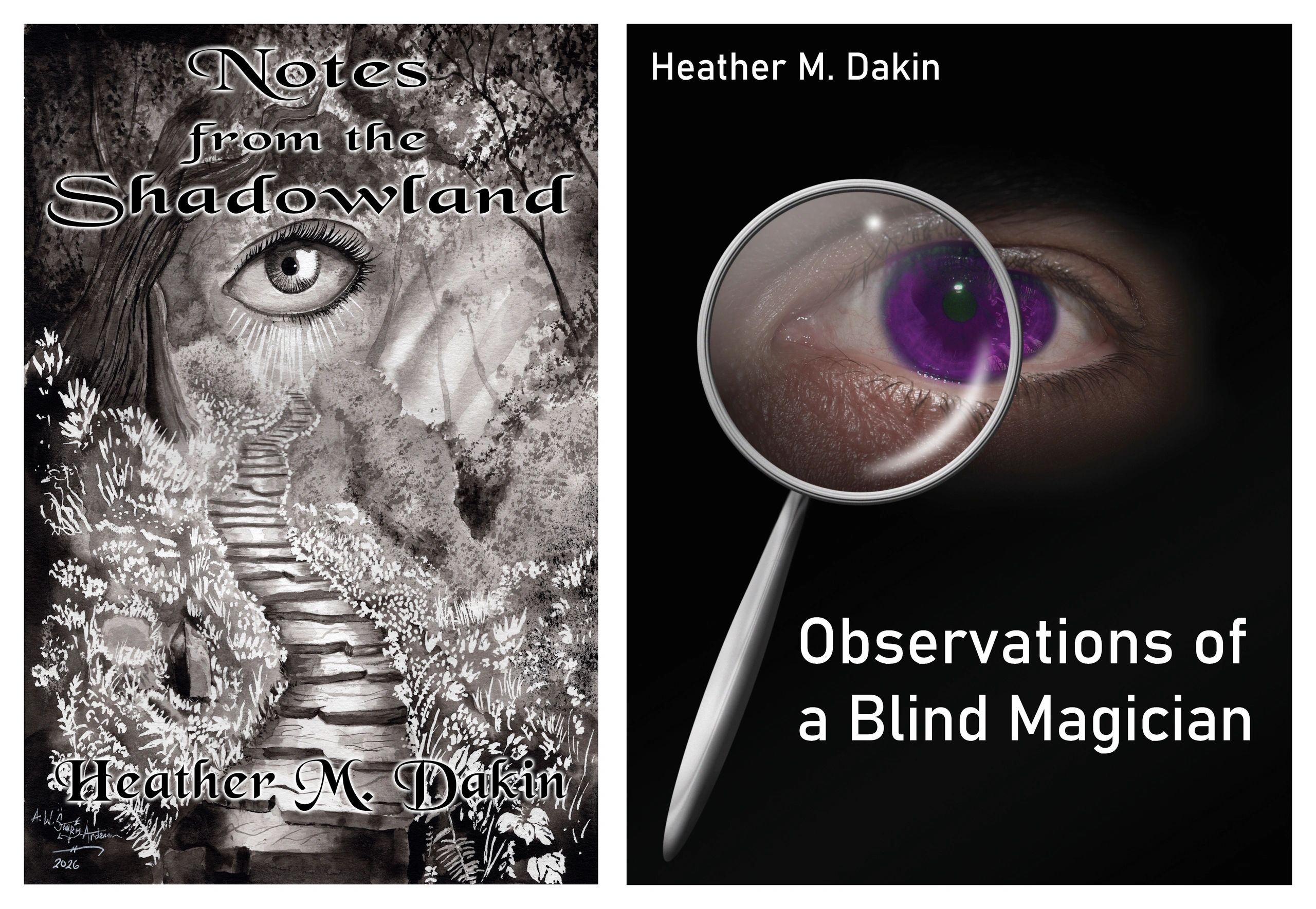 Cover images for Notes from the Shadowland and Observations of a Blind Magician.