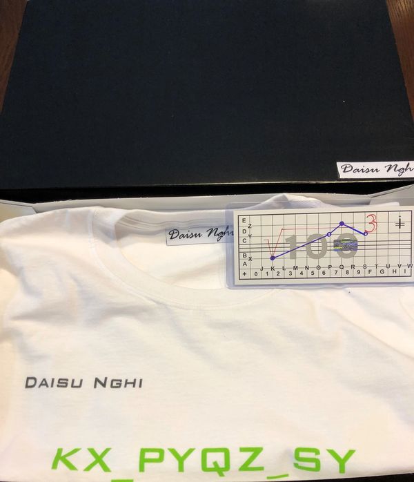 QFT (Quasi-Fungible Thing) t-shirt (ID: KX_PYQZ_SY446809 )