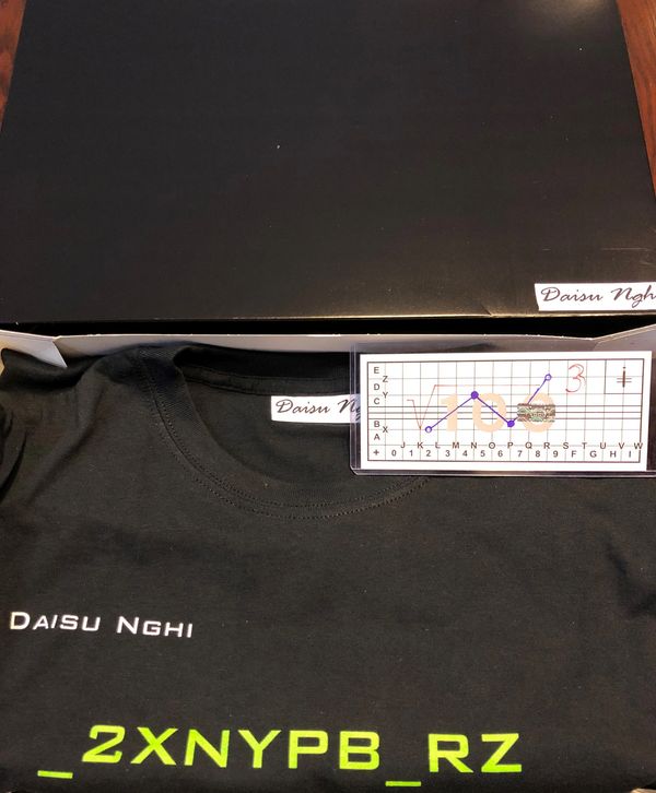 QFT (Quasi-Fungible Thing) t-shirt (ID: _2XNYPB_RZ446807)