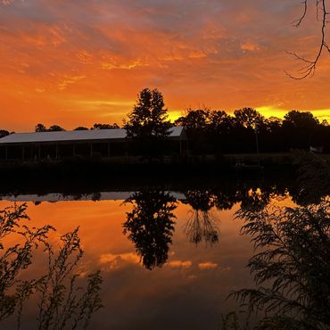 The pond at Sky Maple Farm