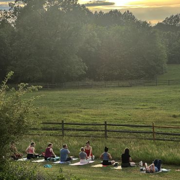 Yoga in the pastures