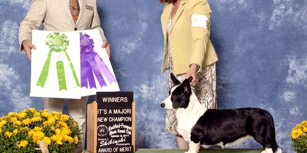 GCH Blu Skyy's Bella Luna