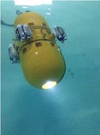 Swimming Inspection Robot for in-service inspection