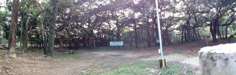 Guinness World Records holder
250 yrs old Banyan tree
Largest canopy by single tree
Botanic Garden