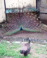 One of the oldest Zoo in the country