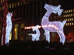 New York Christmas lights
its the most wonderful time of the year