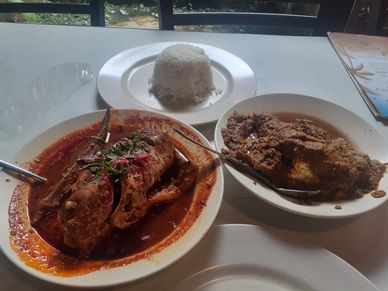 Patin (Silver catfish) and Chicken Rendang at Aunty Aini's Garden Cafe in Nilai, Malaysia. Gordon Ra