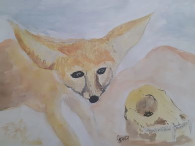 Fennec Fox painting by Toofan Majumder
Watercolour water color
Desert
Art Arab Algeria for sale TM.
