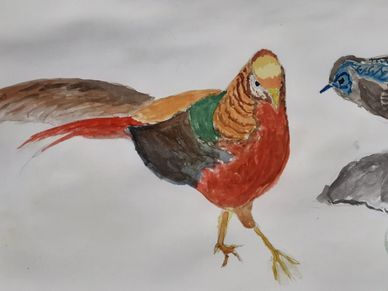 Painting by Toofan Majumder
Watercolour by Toofan Majumder
Golden Pheasant
Frog
Art
Amazing drawings