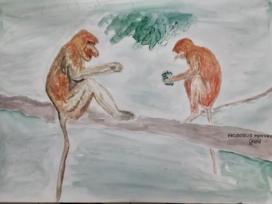 Proboscis Monkeys watercolour painting by Toofan Majumder
Borneo animals wildlife Sabah Sarawak Art.
