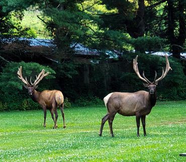 Elks visiting Pioneer Village