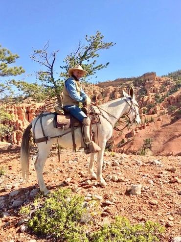 Sitting on a mule on Thunder Mountain during a guided trail ride.