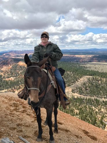 A woman riding her mule above Dixie National Forest, Utah during a guided trail ride.