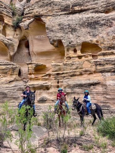 Three people pose on mules in front of a canyon wall in the Paria area of southern Utah
