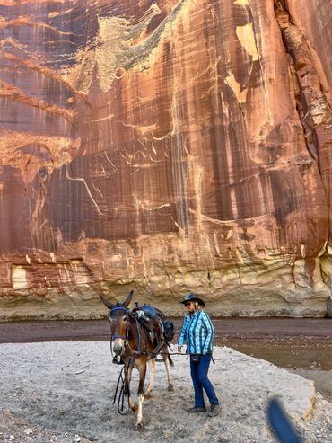A rider and a mule stand in front of a towering wall and Paria River in southern Utah