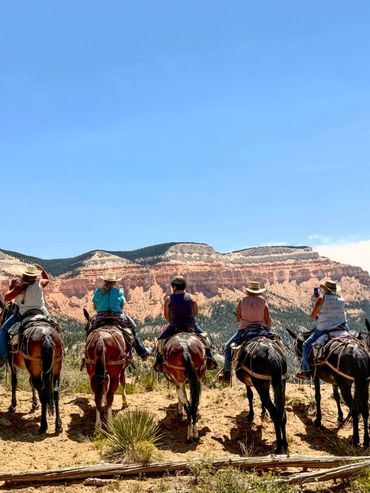 Sitting on mules at high elevation viewing Powell Point during a guided trail ride.