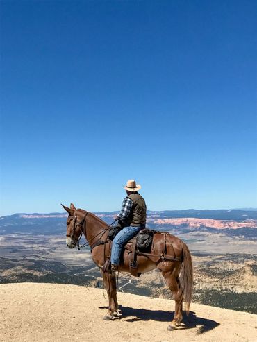 Sitting on a mule atop Powell Point during a guided trail ride.
