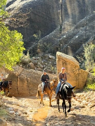 Riding mules through Willis Creek slot canyon / narrows during a guided trail ride.
