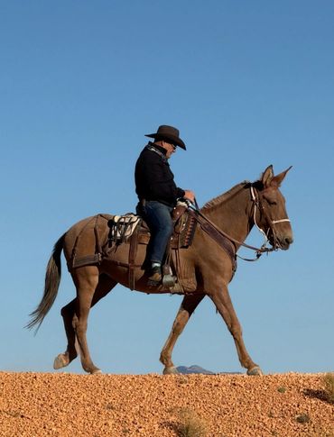 A man rides a mule along the skyline with red dirt beneath the mule's hooves