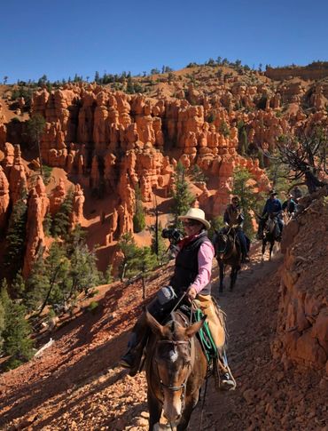 Riding mules from Losee to Casto Canyon during a Bryce Canyon Mule Days guided trail ride.