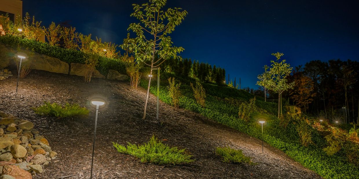Éclairage paysager d'une pente de terrain enrochée, paillis et plantations de nuit.