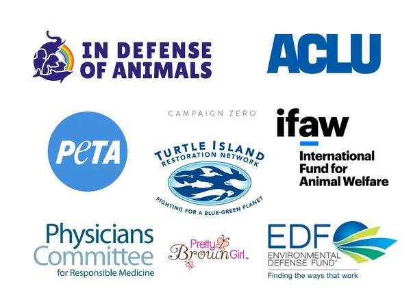 More charities that Blue Turtle Spa supports.