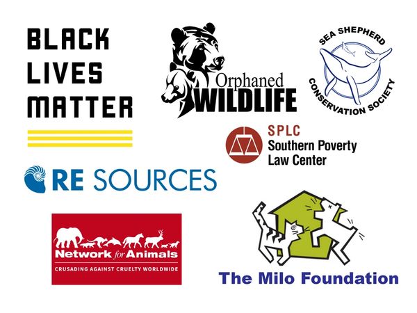 Charities that Blue Turtle Spa supports.