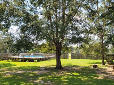 The backyard and Swimming Pool