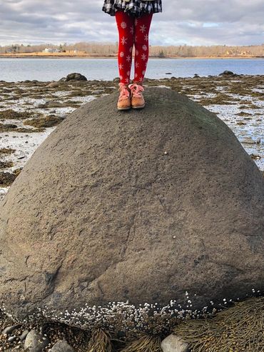 Tide is out! Tapley Farm Beach at Coastal Vacation in Maine