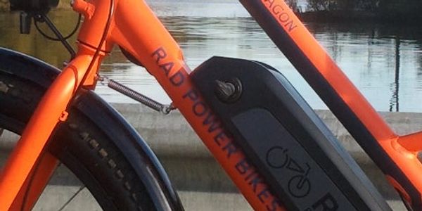 Holly Recreation Area electric bicycle. Rad Wagon cargo bike. Wildwood Lake Holly, Michigan