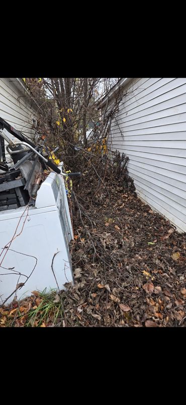 Appliance pick up, leaf removal, trimming of trees in 48235 (Westside of Detroit)