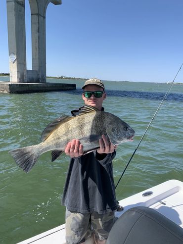 Man holding a large fish on a boat near a bridge.