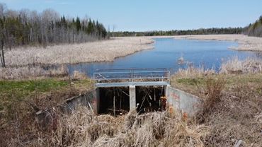 Concrete Structure Condition Inspections – Scott Newton