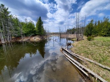 Concrete Structure Condition Inspections – Pratt