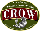 Clinic for the Rehabilitation of Wildlife, Inc. - 3883 Sanibel-Captiva Rd, Sanibel, Florida 33957