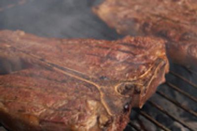 BBQ Fool