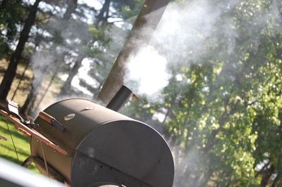 BBQ Fool